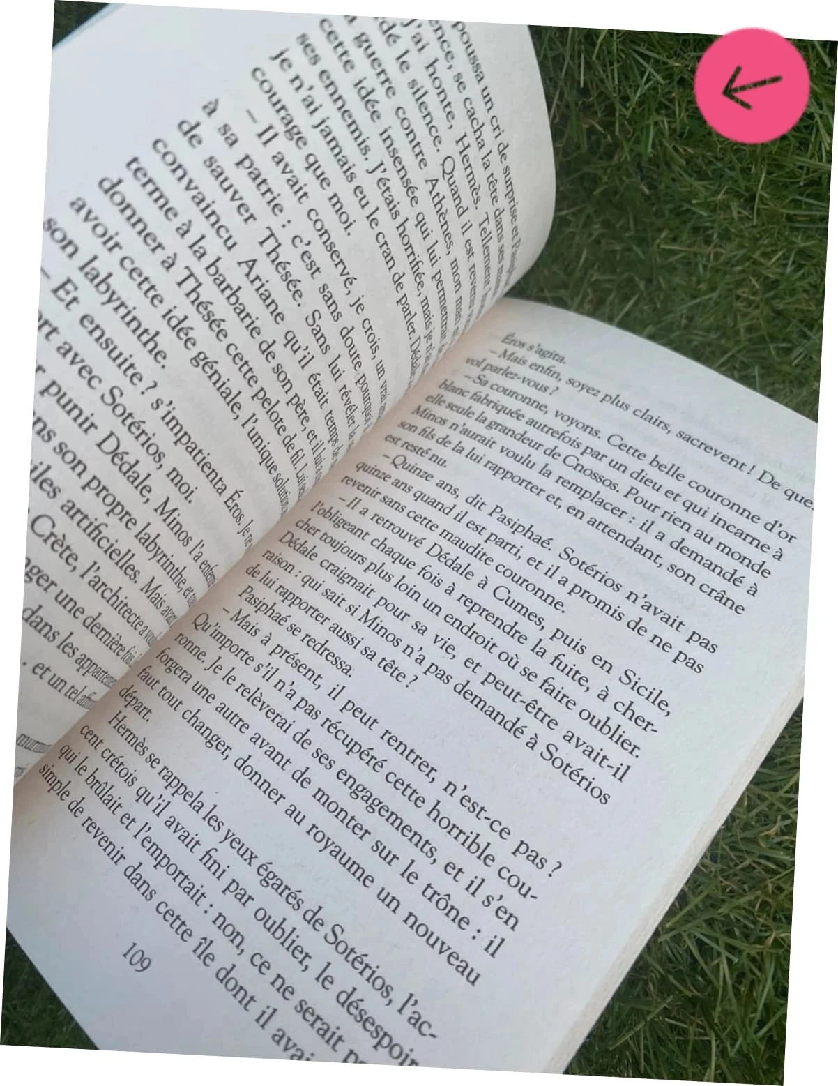 Livre scolaire. Le mystère dedalle 6ème – photo 5